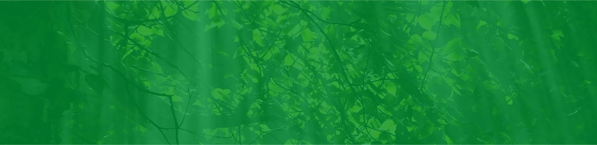 lbanner